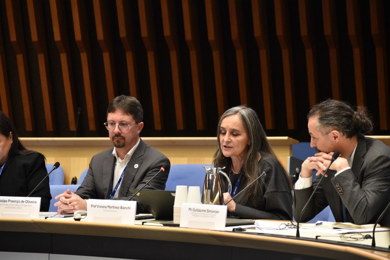 A speaker addressing the Bridging Health and Peace side event